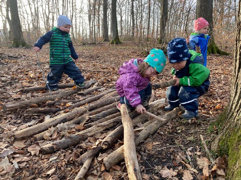 suche nach dem fruehling 202102 9